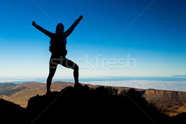 Stockfoto: Vrouw · wandelen · succes · silhouet · zakenvrouw · geslaagd