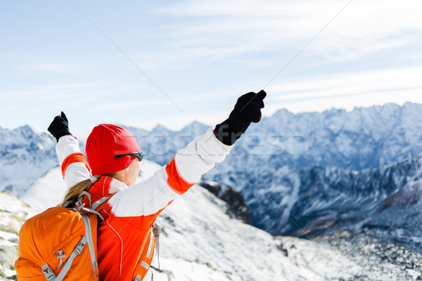 Stockfoto: Wandelen · succes · vrouw · winter · bergen · fitness