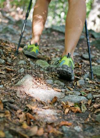 Foto d'archivio: Donna · foresta · escursioni · piedi