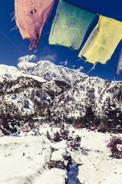 Montanha inspirado paisagem alcance Nepal himalaia Foto stock © blasbike