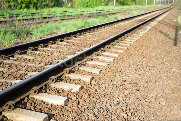 Railroad tracks and green grass Stock photo © blasbike