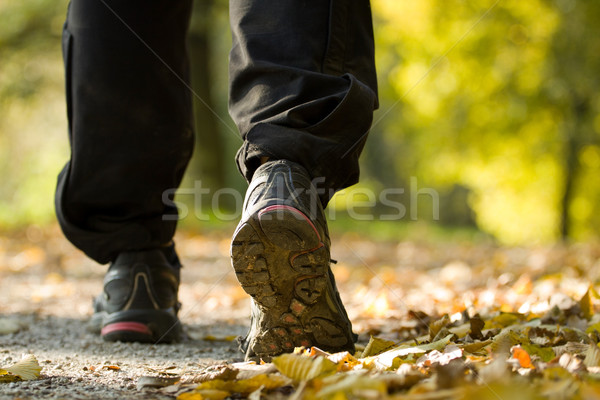 Hiking in autumn forest Stock photo © blasbike