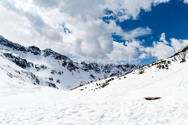 Stock photo: Mountains beautiful inspirational winter landscape, Tatras
