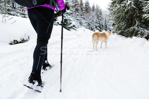 Backpacker hiking walking in winter forest with dog Stock photo © blasbike