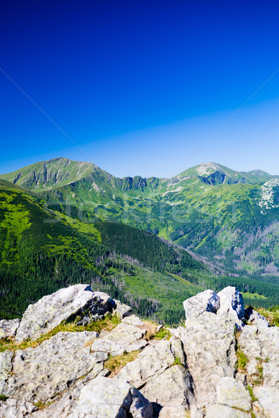 Inspiring Mountains Landscape View, sunny day in summer Tatras Stock photo © blasbike