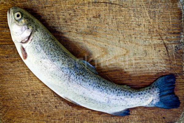 鱒魚 魚 彩虹 木 盤 性質 商業照片 © blasbike