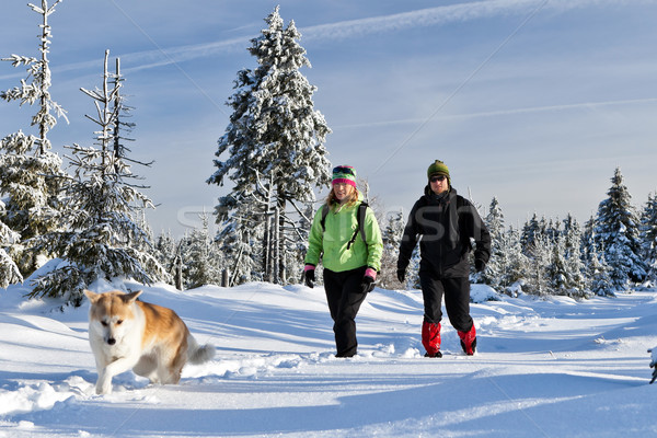 Stockfoto: Paar · wandelen · hond · winter · bergen · man