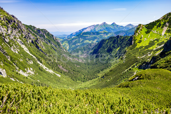 Inspirador montanas paisaje vista verano Foto stock © blasbike