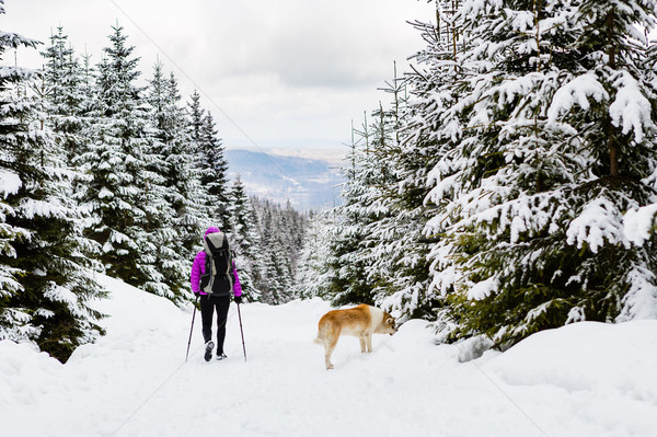 Backpacker hiking walking in winter forest with dog Stock photo © blasbike