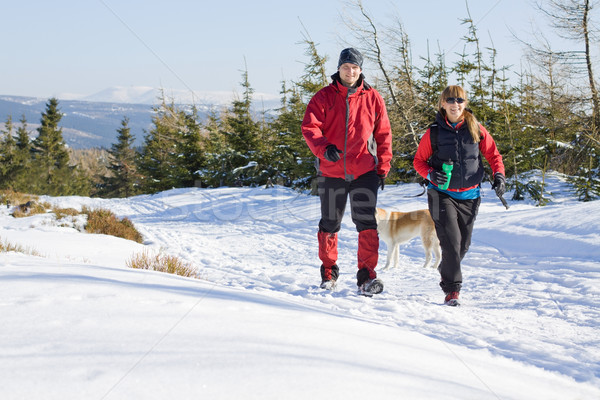 Stockfoto: Paar · winter · wandelen · bergen · vrouw