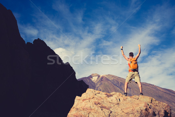 Man celebrating success in mountains, arms outstretched Stock photo © blasbike