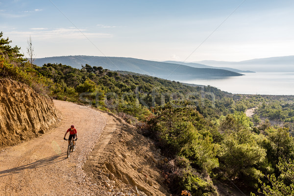 Stock photo: Mountain biker riding on bike in summer sunset woods