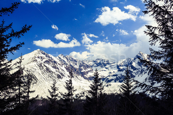 Mountains landscape, sunny day in Tatras Stock photo © blasbike