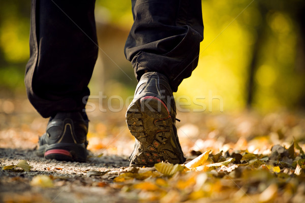 Hiking in autumn forest Stock photo © blasbike