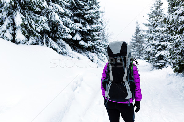 女子 徒步旅行 冬天 樹林 背包 徒步 商業照片 © blasbike