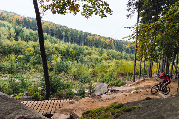 Mountain biker riding cycling in autumn forest Stock photo © blasbike