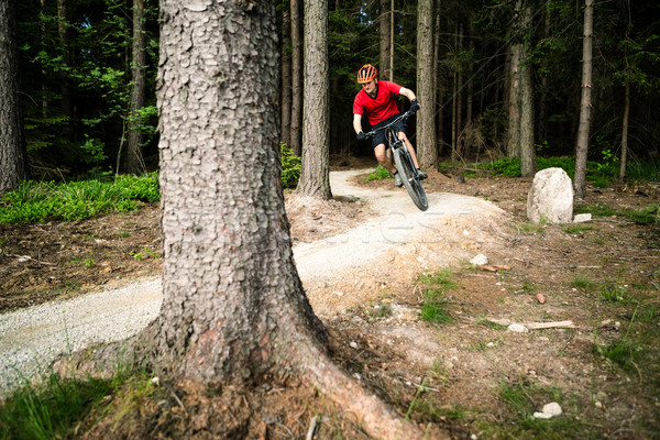 Stock foto: Berg · Biker · Reiten · Radfahren · Sommer · Wald
