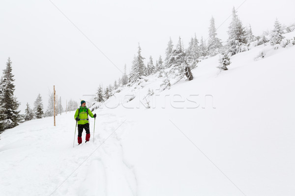 Stock photo: Winter hike in white woods when snowing