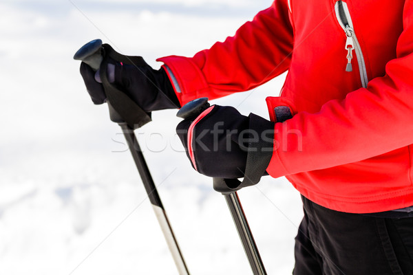 Woman nordic walking in winter Stock photo © blasbike