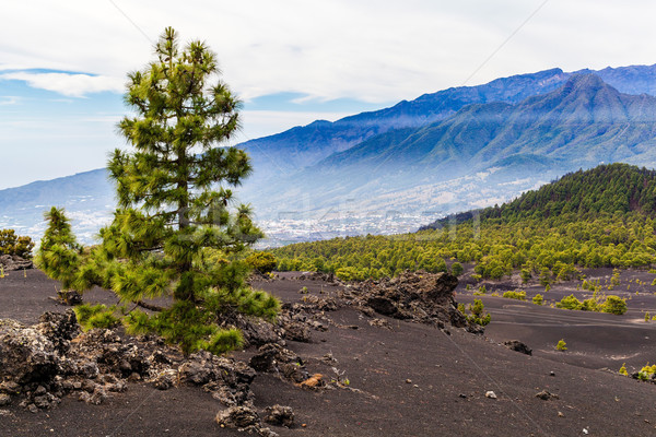 Mountains landscape volcanic island Stock photo © blasbike