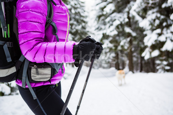 Winter hike in white woods Stock photo © blasbike