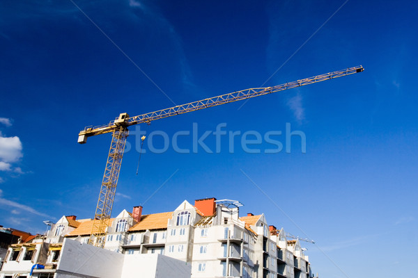 Construction site growth Stock photo © blasbike
