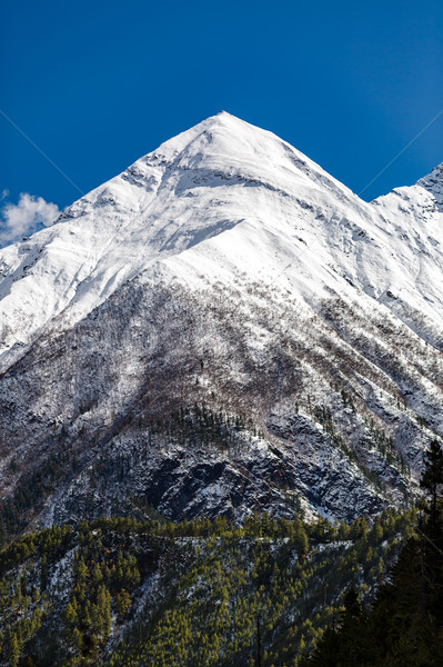 Inspirational Landscape Himalaya Mountains in Nepal Stock photo © blasbike