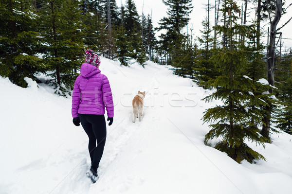 Stockfoto: Vrouw · lopen · winter · bos · hond · wandelen