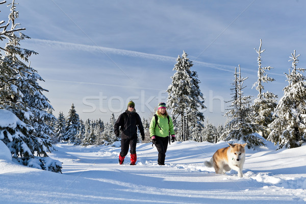 Сток-фото: пару · походов · собака · зима · гор · человека