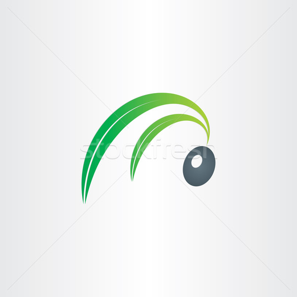 olive with leafs olive oil icon design Stock photo © blaskorizov