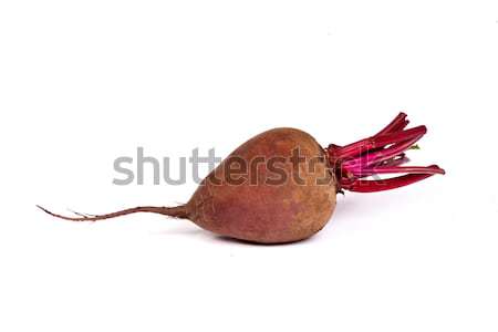 Fresh red beet isolated on  white Stock photo © bloodua