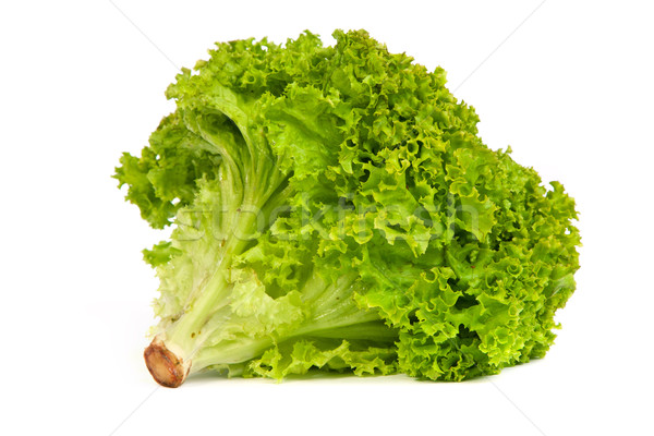 Fresh Green Lettuce isolated on white Stock photo © bloodua