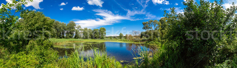 Panoráma nyár reggel tó zöld fák Stock fotó © bloodua