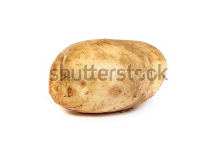 Een aardappel geïsoleerd witte voedsel achtergrond Stockfoto © bloodua