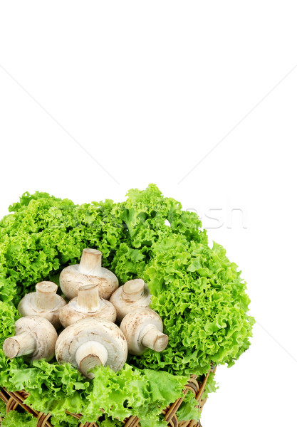 Champignon friss étvágygerjesztő gombák kosár fehér Stock fotó © bloodua