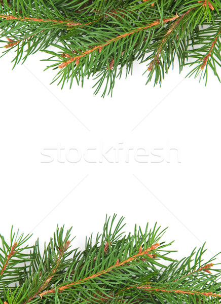 Christmas framework Stock photo © bloodua