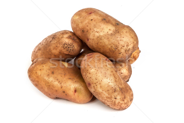 Group of potatoes isolated on white Stock photo © bloodua