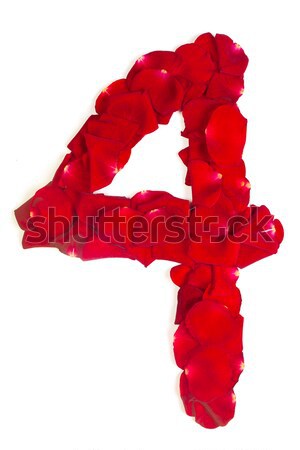 number 4 made from red petals rose on white Stock photo © bloodua