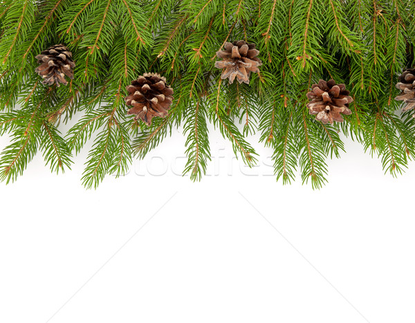 Natal quadro verde isolado branco árvore Foto stock © bloodua
