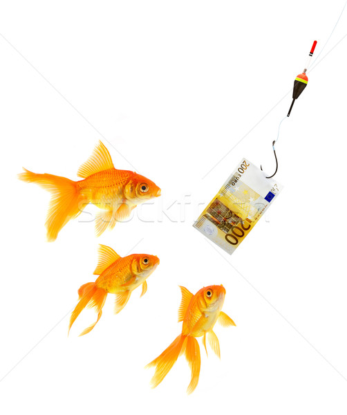 Goldfish аквариум белый рыбы стекла Финансы Сток-фото © bloodua