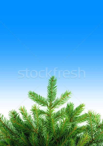 Christmas framework Stock photo © bloodua