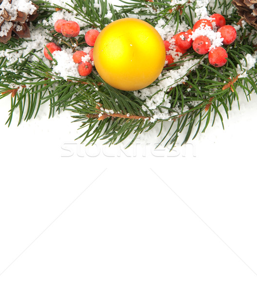 Stockfoto: Christmas · groene · bes · geïsoleerd · witte