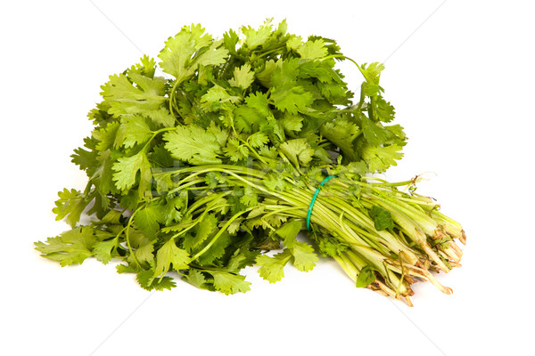 Parsley tied in a bunch with twine isolated Stock photo © bloodua