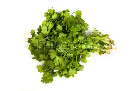 Parsley tied in a bunch with twine isolated Stock photo © bloodua