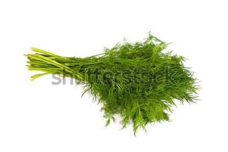 Stock photo: Fresh branches of green dill isolated