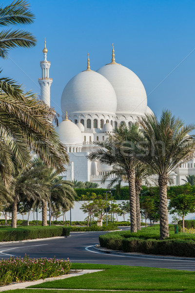 Mezquita Oriente Medio Emiratos Árabes Unidos Abu Dhabi ciudad cielo Foto stock © bloodua