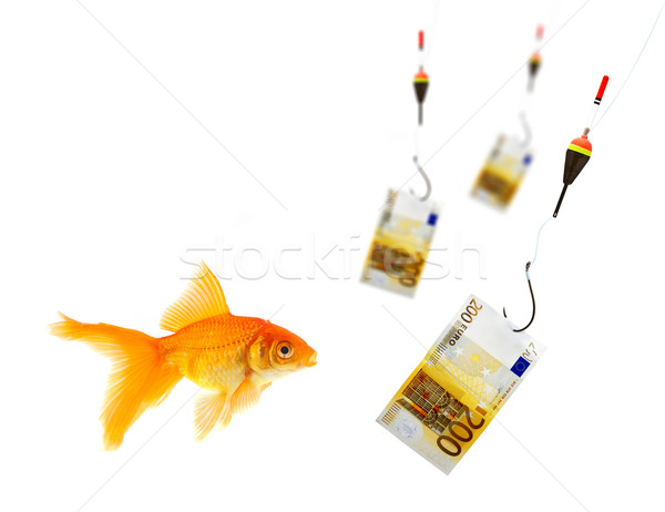 Goldfish akwarium biały ryb szkła finansów Zdjęcia stock © bloodua