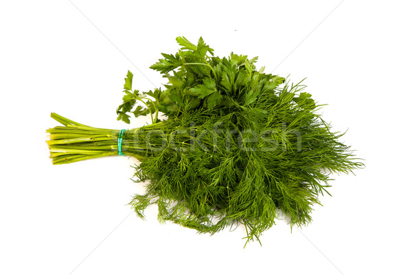 Fresh branches of green dill and Parsley tied isolated Stock photo © bloodua