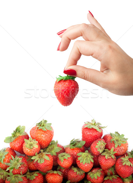 Strawberry in the hand Stock photo © bloodua