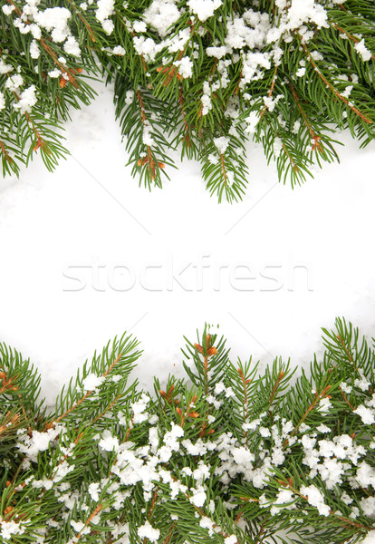 Christmas framework with snow Stock photo © bloodua